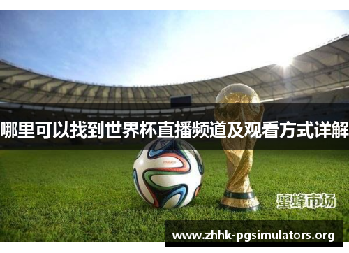 哪里可以找到世界杯直播频道及观看方式详解 哪里可以找到世界杯直播频道及观看方式详解